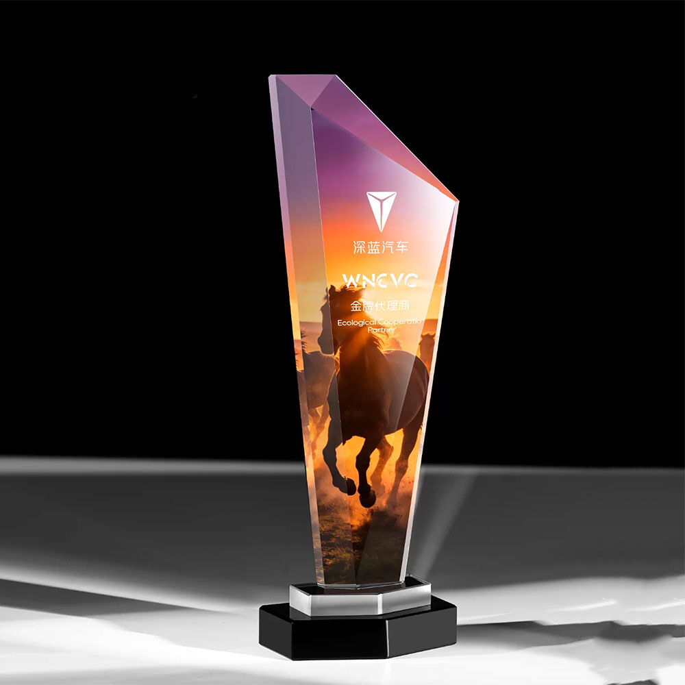 切面水晶奖杯定制 企业年会彩印奖牌 优秀员工颁奖纪念奖杯 - crystal trophy shot blasting 5